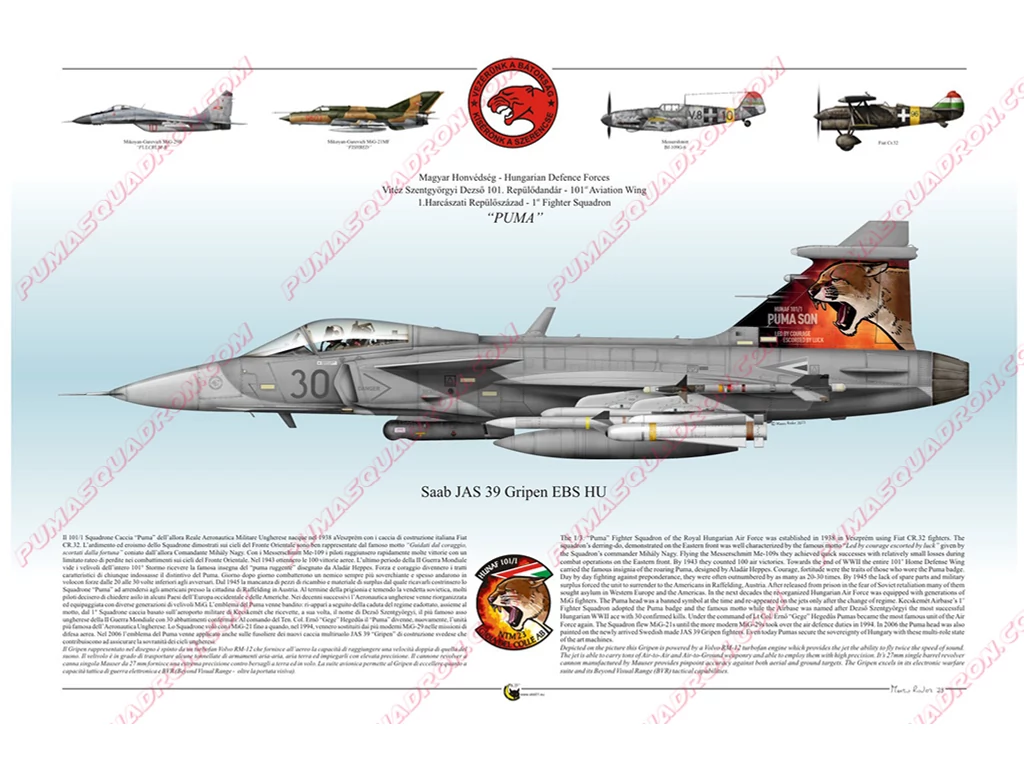 NTM23 Gripen profil rajz - keretezett