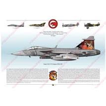 NTM23 Gripen profil rajz - keretezett