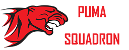 101/1 Puma Squadron